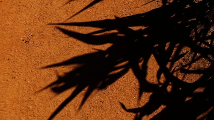 The shadows from the giant corn maze at Washington Farms in Bogart, Ga., on Wednesday, Sept. 29,