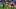 FBL-MEX-CONCACAF-CHAMPIONS-PACHUCA-COLUMBUS