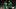 Jaylen Brown, Ime Udok Jaylen Brown, Ime Udok