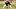 Arizona Diamondbacks first baseman pavin smith. Arizona Diamondbacks first baseman pavin smith.