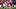 Ashton Jeanty, Las Vegas Raiders, 2026 Fantasy Football Ashton Jeanty, Las Vegas Raiders, 2026 Fantasy Football