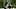 Philadelphia Eagles wide receiver Makai Lemon Philadelphia Eagles wide receiver Makai Lemon