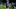 Milwaukee Brewers third baseman David Hamilton Milwaukee Brewers third baseman David Hamilton