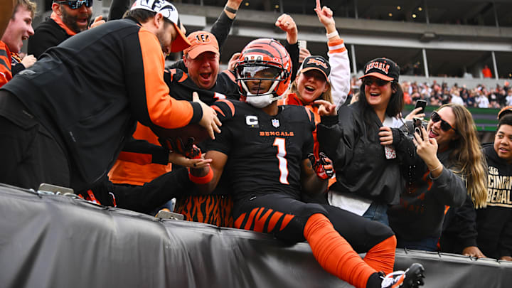 Arizona Cardinals v Cincinnati Bengals - NFL 2025