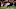 Baltimore Ravens, Marlon Humphrey Baltimore Ravens, Marlon Humphrey
