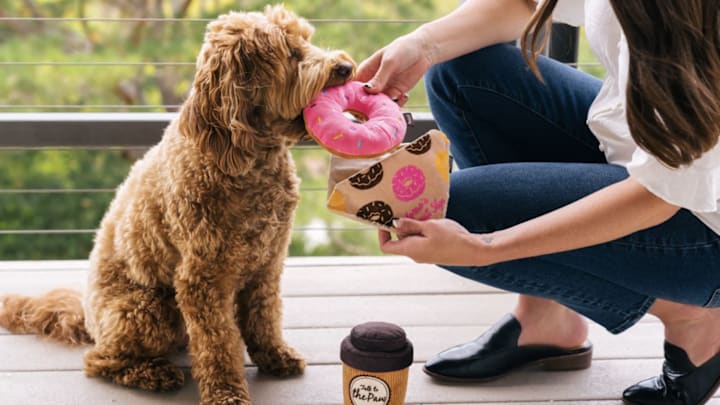 Celebrate Pet Moms This Mother’s Day with P.L.A.Y.!