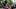New England Patriots wide receiver A.J. Brown New England Patriots wide receiver A.J. Brown