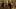 TWD_1018_EA_1117_0261_RT TWD_1018_EA_1117_0261_RT
