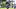 New England Patriots linebacker Xavier Holmes New England Patriots linebacker Xavier Holmes