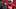Wisconsin defensive lineman Dillan Johnson. Wisconsin defensive lineman Dillan Johnson.