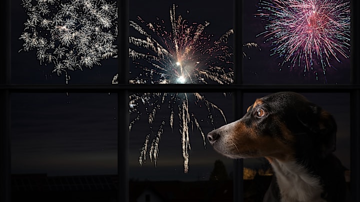 He's counting down the minutes until the fireworks end.