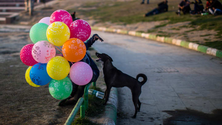 India Gears For Valentine's Day Amid Rightwing 'Threats'