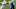 Malik Hamm, Baltimore Ravens Malik Hamm, Baltimore Ravens