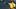 Luis Urias throws a baseball in a yellow athletics jerse Luis Urias throws a baseball in a yellow athletics jerse