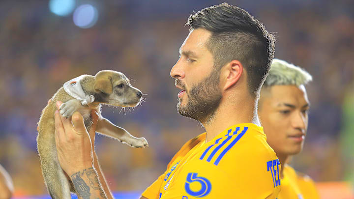 El francés André-Pierre Gignac cargando a un precioso canino.