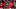 St. Louis Cardinals first baseman Alec Burleson St. Louis Cardinals first baseman Alec Burleson