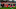 Linfield v Shelbourne - UEFA Conference League Play-off Round Second Leg Linfield v Shelbourne - UEFA Conference League Play-off Round Second Leg