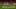Liverpool FC v Atalanta BC: Group D - UEFA Champions League