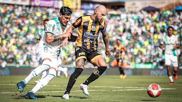 Verdão é o atual bicampeão estadual