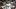 Real Madrid's David Beckham jubilates af Real Madrid's David Beckham jubilates af