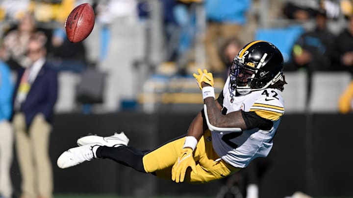 Pittsburgh Steelers v Carolina Panthers