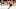 Nashville Predators, Mark Jankowski Nashville Predators, Mark Jankowski