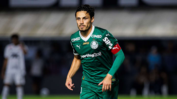 Santos v Palmeiras - Brasileirao 2025