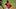 Houston Astros designated hitter Yordan Alvarez Houston Astros designated hitter Yordan Alvarez