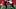 Wisconsin offensive lineman Kevin Heywood. Wisconsin offensive lineman Kevin Heywood.