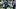 RB Johnnie Daniels 3 RB Johnnie Daniels 3