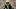 Green Bay Packers defensive end Micah Parsons