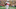 Marvin Harrison Jr. Marvin Harrison Jr.