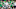 Marvin Harrison Jr., Benjamin Morrison Marvin Harrison Jr., Benjamin Morrison