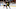 Jake Debrusk Jake Debrusk