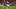 FBL-GER-BUNDESLIGA-ELVERSBERG-BAYERN MUNICH FBL-GER-BUNDESLIGA-ELVERSBERG-BAYERN MUNICH