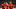 FBL-WC-2026-TUR-ROU-QUALIFIERS FBL-WC-2026-TUR-ROU-QUALIFIERS