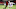 Antoine Mendy, Carlos Soler Antoine Mendy, Carlos Soler