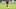Nathaniel Brown zählt zu den Leistungsträgern bei Eintracht Frankfurt - noch Nathaniel Brown zählt zu den Leistungsträgern bei Eintracht Frankfurt - noch
