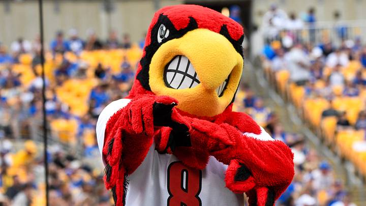 Louie the Cardinal Louie the Cardinal