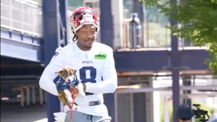 Stefon Diggs carries a puppy to training camp. Stefon Diggs carries a puppy to training camp.