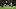 Pittsburgh Pirates right fielder Jake Mangum