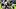 Green Bay Packers fantasy football Green Bay Packers fantasy football