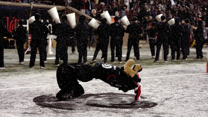 Nov 30, 2024; Cincinnati, Ohio, USA; The Cincinnati Bearcats mascot makes a snow angel in the fourth quarter of a game against the TCU Horned Frogs at Nippert Stadium. Mandatory Credit: Albert Cesare/USA TODAY Network via Imagn Images