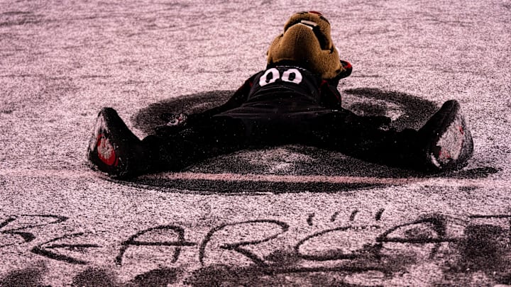 Cincinnati Bearcats mascot makes a snow angel in the fourth quarter of the NCAA football game between Cincinnati Bearcats and TCU Horned Frogs at Nippert Stadium in Cincinnati on Saturday, Nov. 30, 2024.