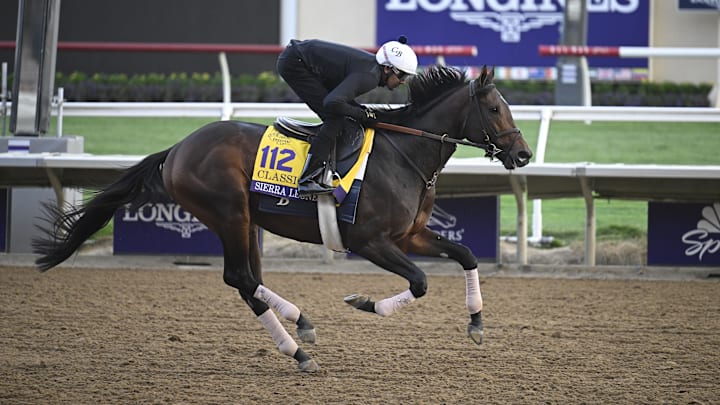 Oct 29, 2024; Del Mar, CA, USA; Sierra Leone exercises during morning workouts ahead of the 2024 Breeders' Cup Championship at Del Mar Thoroughbred Club. 