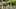 Red-fronted brown lemurs (Eulemur rufifrons) sitting on log... Red-fronted brown lemurs (Eulemur rufifrons) sitting on log...