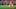 Joan Garcia Joan Garcia