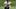 Pittsburgh Steelers wide receiver Roman Wilson Pittsburgh Steelers wide receiver Roman Wilson