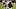 New England Patriots quarterback Drake Maye