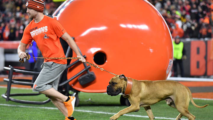 Pittsburgh Steelers v Cleveland Browns
